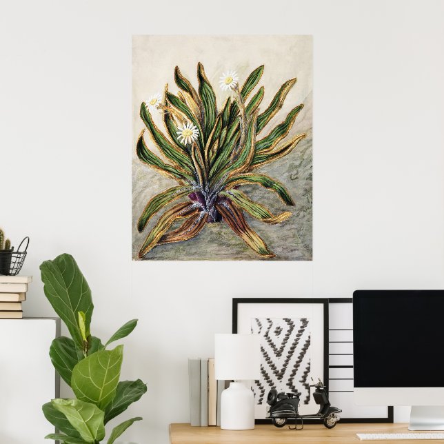 Vintage Mountain Daisy Botanical Illustration Poster (Home Office)