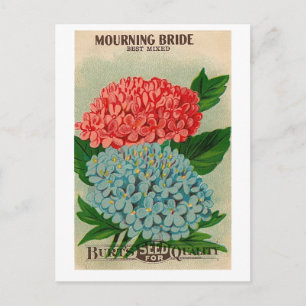 vintage mourning bridge flower seedpacket postcard