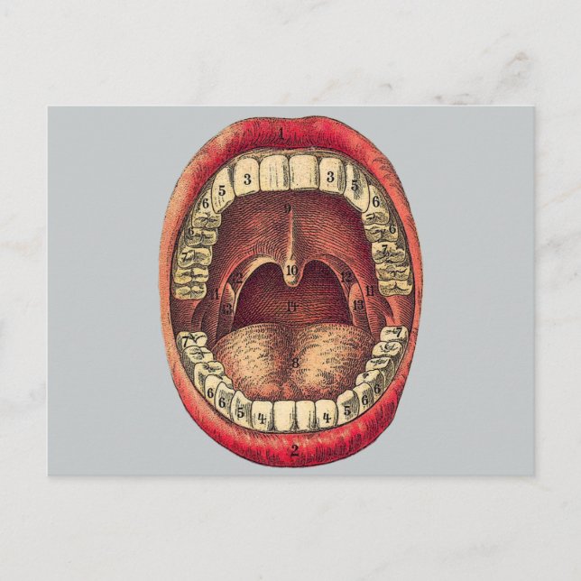 Vintage Mouth Postcard (Front)