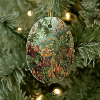 Vintage Muscinae, Moss Plants by Ernst Haeckel Ceramic Ornament