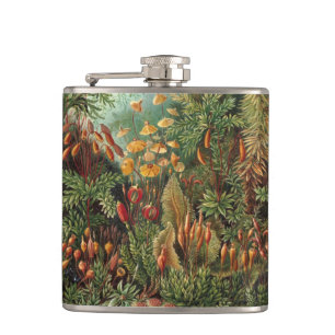Vintage Muscinae, Moss Plants by Ernst Haeckel Hip Flask