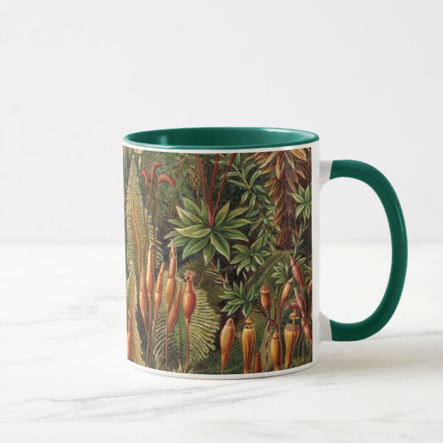 Vintage Muscinae, Moss Plants by Ernst Haeckel Mug (Right)