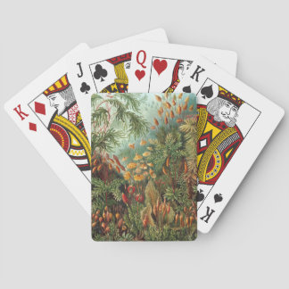 Vintage Muscinae, Moss Plants by Ernst Haeckel Playing Cards
