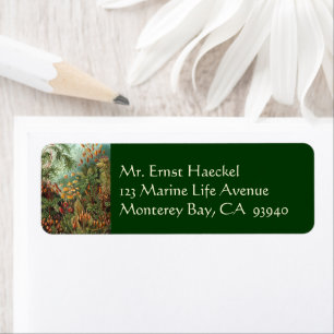 Vintage Muscinae, Moss Plants by Ernst Haeckel Return Address Label
