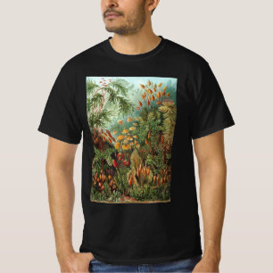 Vintage Muscinae, Moss Plants by Ernst Haeckel T-Shirt