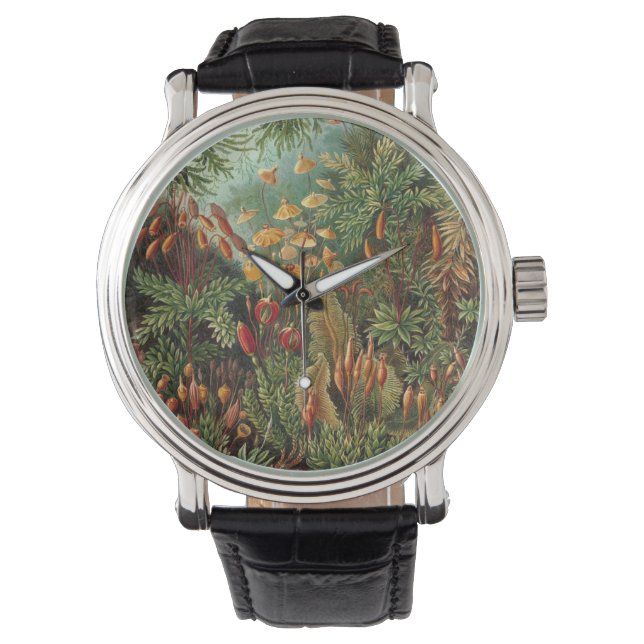 Vintage Muscinae, Moss Plants by Ernst Haeckel Watch (Front)