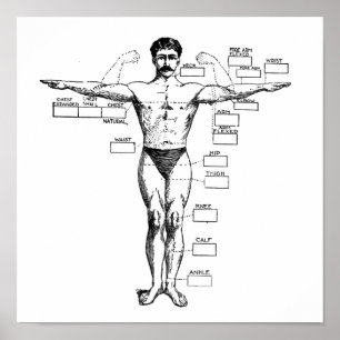 Vintage Muscleman from 1905 Poster