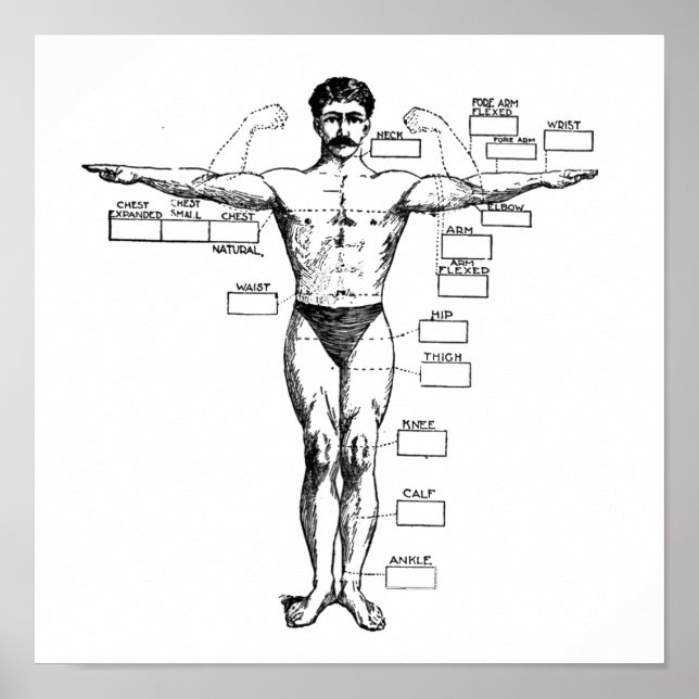 Vintage Muscleman from 1905 Poster (Front)