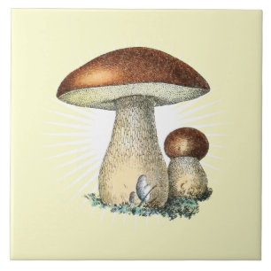 Vintage Mushroom Art Ceramic Tile