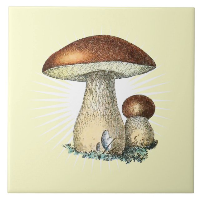 Vintage Mushroom Art Ceramic Tile (Front)
