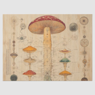 Vintage Mushroom Botanical Chart (11) Tissue Paper