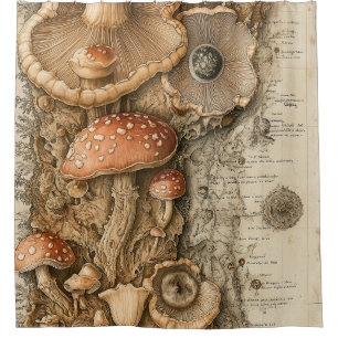 Vintage Mushroom Botanical Chart (1) Shower Curtain