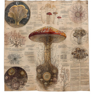 Vintage Mushroom Botanical Chart (2) Shower Curtain