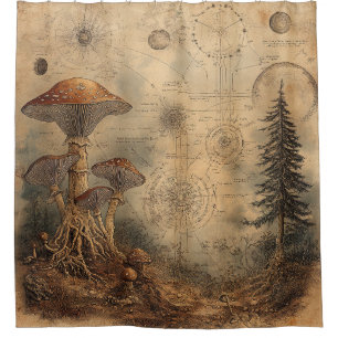 Vintage Mushroom Botanical Chart (3) Shower Curtain
