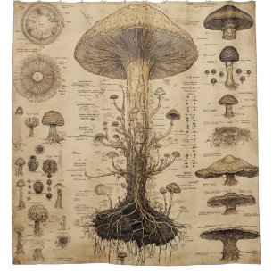 Vintage Mushroom Botanical Chart (5) Shower Curtain