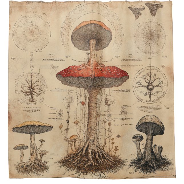 Vintage Mushroom Botanical Chart (8) Shower Curtain (Front)