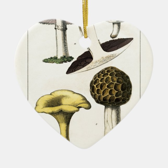 Vintage Mushroom Botanical Print Ceramic Ornament (Front)