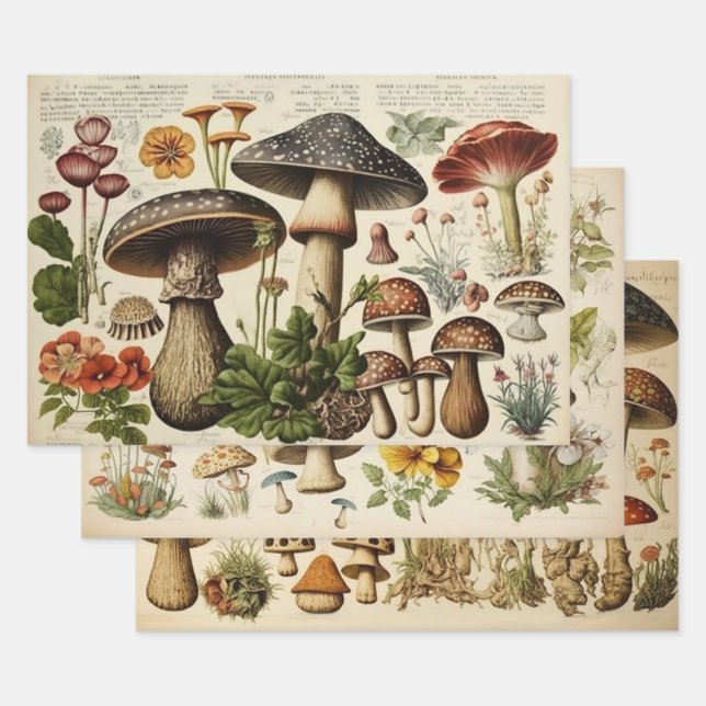Vintage Mushroom Cottagecore Wrapping Paper Sheet (Set)