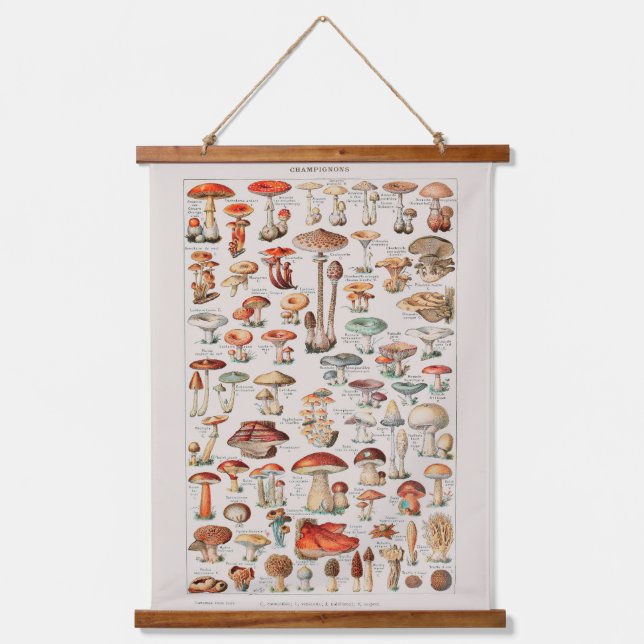 Vintage Mushroom Fungus Illustration I Hanging Tapestry (Front)