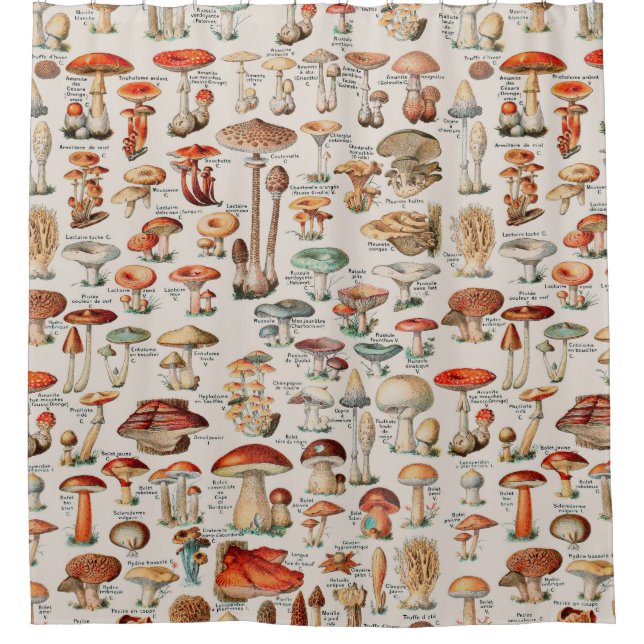 Vintage Mushroom Fungus Illustration I Shower Curtain (Front)