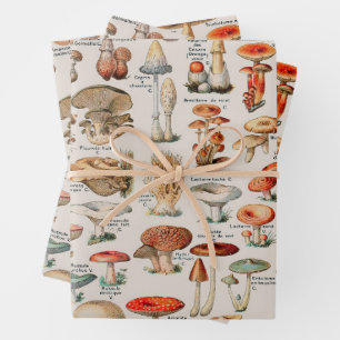 Vintage Mushroom Fungus Illustration I Wrapping Paper Sheet