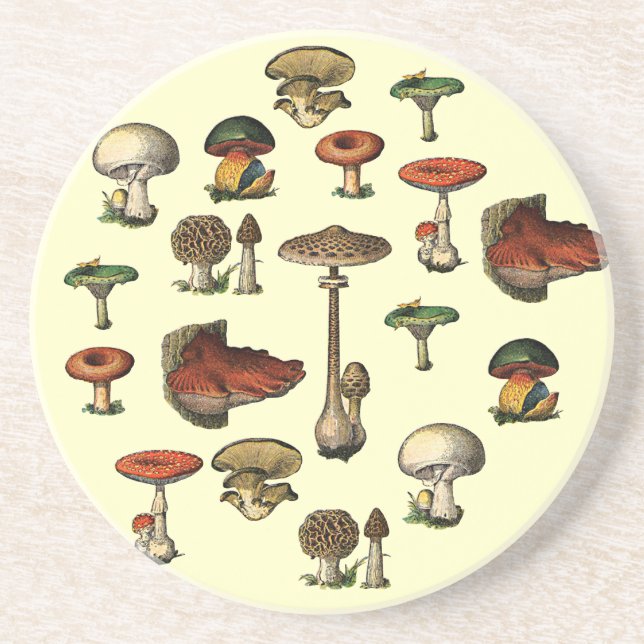 Vintage Mushroom Guide Coaster (Front)