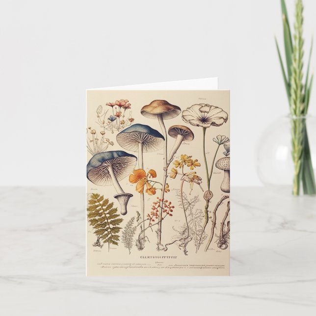Vintage Mushroom Naturalist Card (Front)