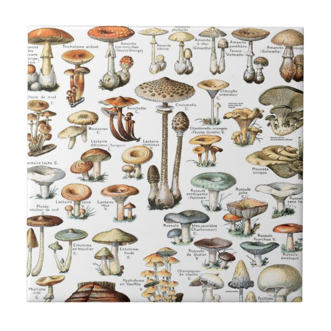 Vintage Mushroom Pattern Ceramic Tile (Front)