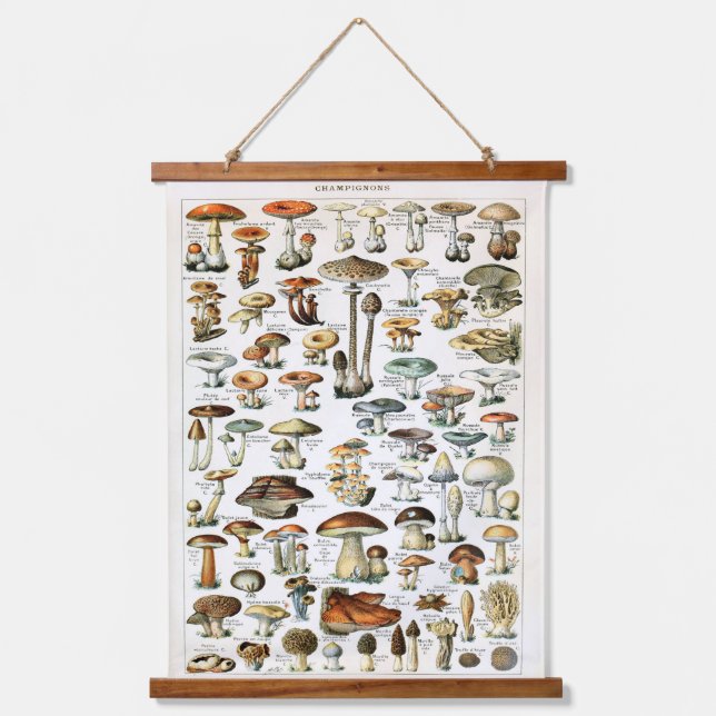 Vintage Mushroom Specimen Hanging Panel  Hanging Tapestry (Front)