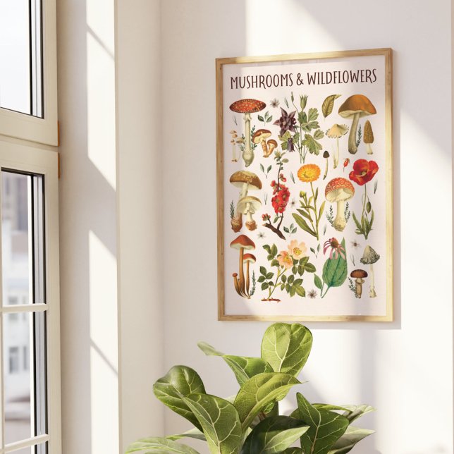 Vintage Mushrooms and Wildflowers Chart Wall Art (In situ beside the window)