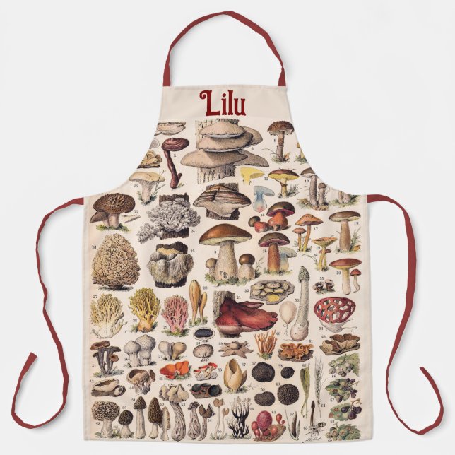 Vintage Mushrooms By Adolphe Millot Personalised Apron (Front)