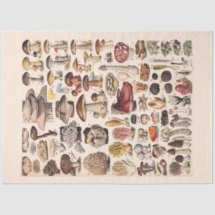 Vintage Mushrooms By Adolphe Millot Tissue Paper