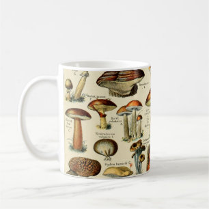 Vintage Mushrooms & Fungi Coffee Mug