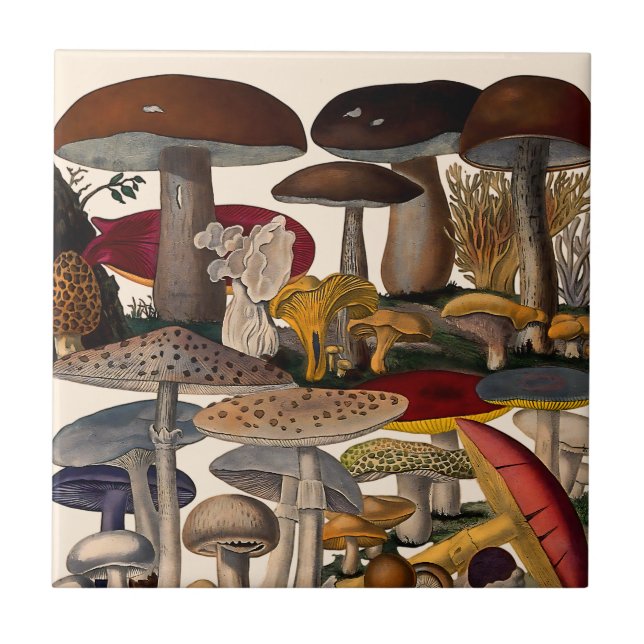 Vintage mushrooms illustration ceramic tile (Front)