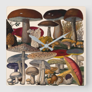 Vintage mushrooms illustration square wall clock