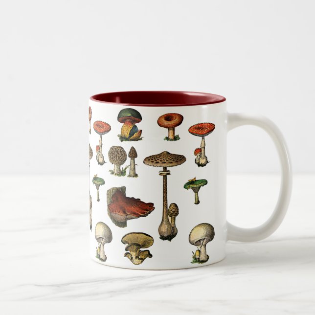 Vintage Mushrooms Mug (Right)