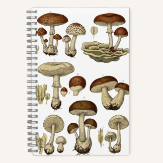 Vintage Mushrooms Notebook