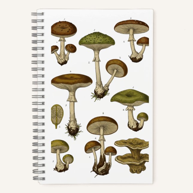 Vintage Mushrooms Notebook  (Front)