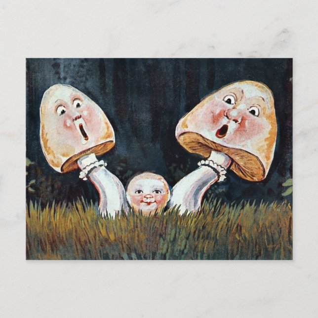 Vintage Mushrooms Postcard (Front)