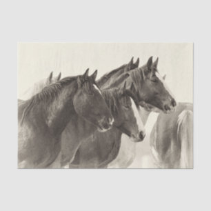 Vintage Mustang Horses Tissue Paper