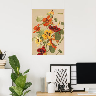 Vintage Nasturtium Floral Botanical Garden Art Poster