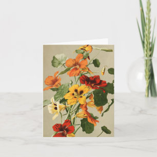 Vintage Nasturtiums Note Card