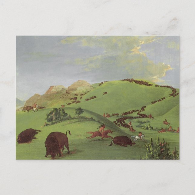Vintage Native Americans, Buffalo Chase by Catlin Postcard (Front)