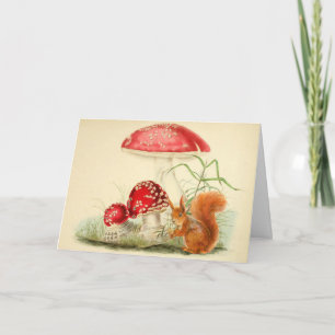 Vintage Nature Illustration - Squirrel, Mushrooms  Card