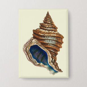 Vintage Nautical George Shaw Blue Conch Shell Art