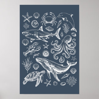 Vintage Nautical Marine Life Illustration Poster