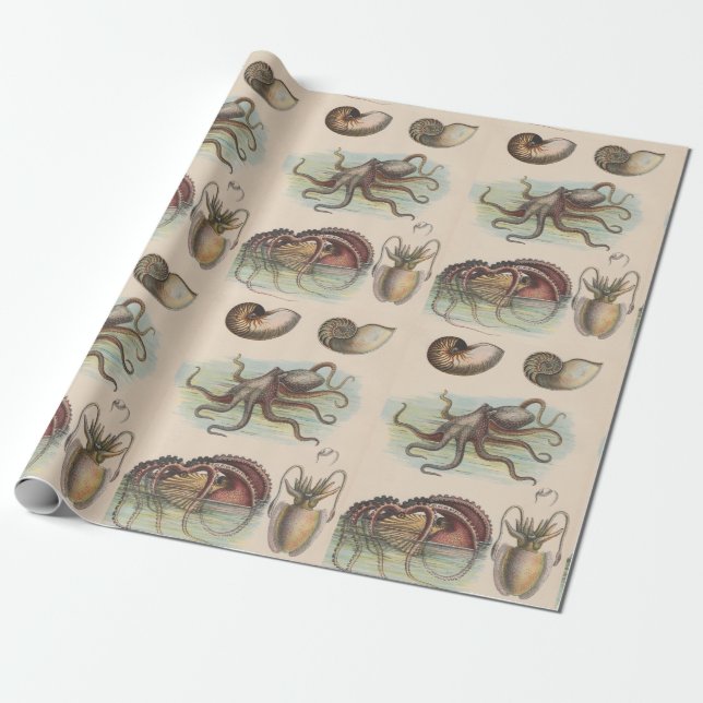 Vintage Nautical - Octopus, Nautilus and Squid Wrapping Paper (Unrolled)