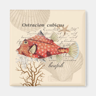 Vintage Nautical Orange Boxfish Illustration Magnet