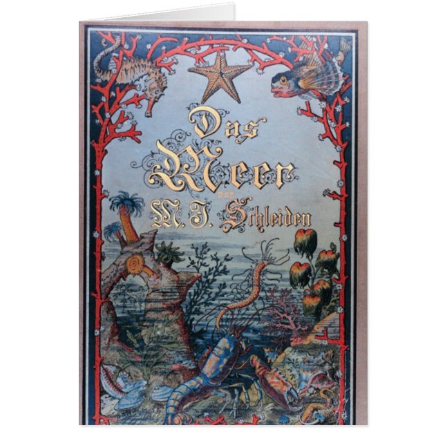 Vintage nautical steampunk victorian book cover (Front)