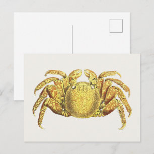 Vintage Nautical Variegated Crab Coastal Wall Art Postcard